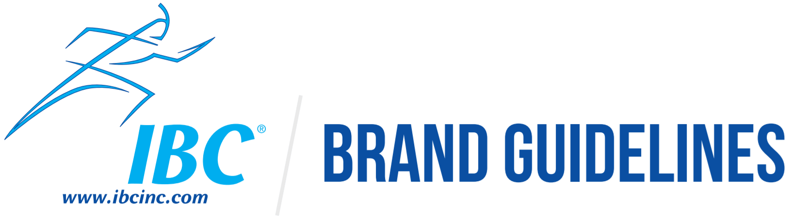 big-logo-brand-guideline-min